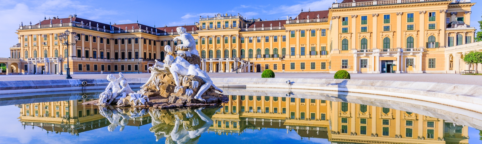 Reference - Reference -